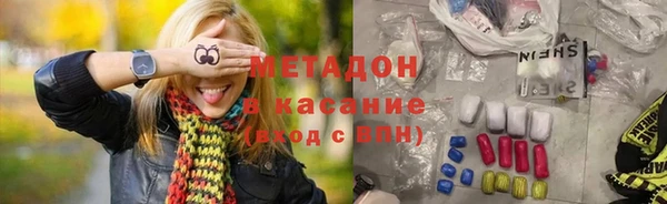 прущие грибы Абинск