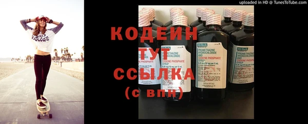 прущие грибы Абинск
