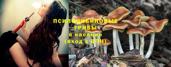 синтетический гашиш Алексин