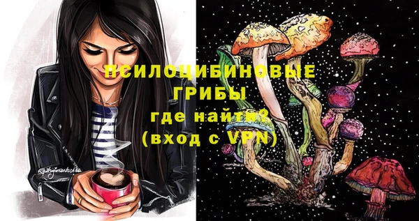ECSTASY Абаза