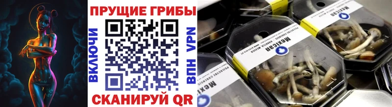где найти наркотики  Иноземцево  Псилоцибиновые грибы GOLDEN TEACHER 